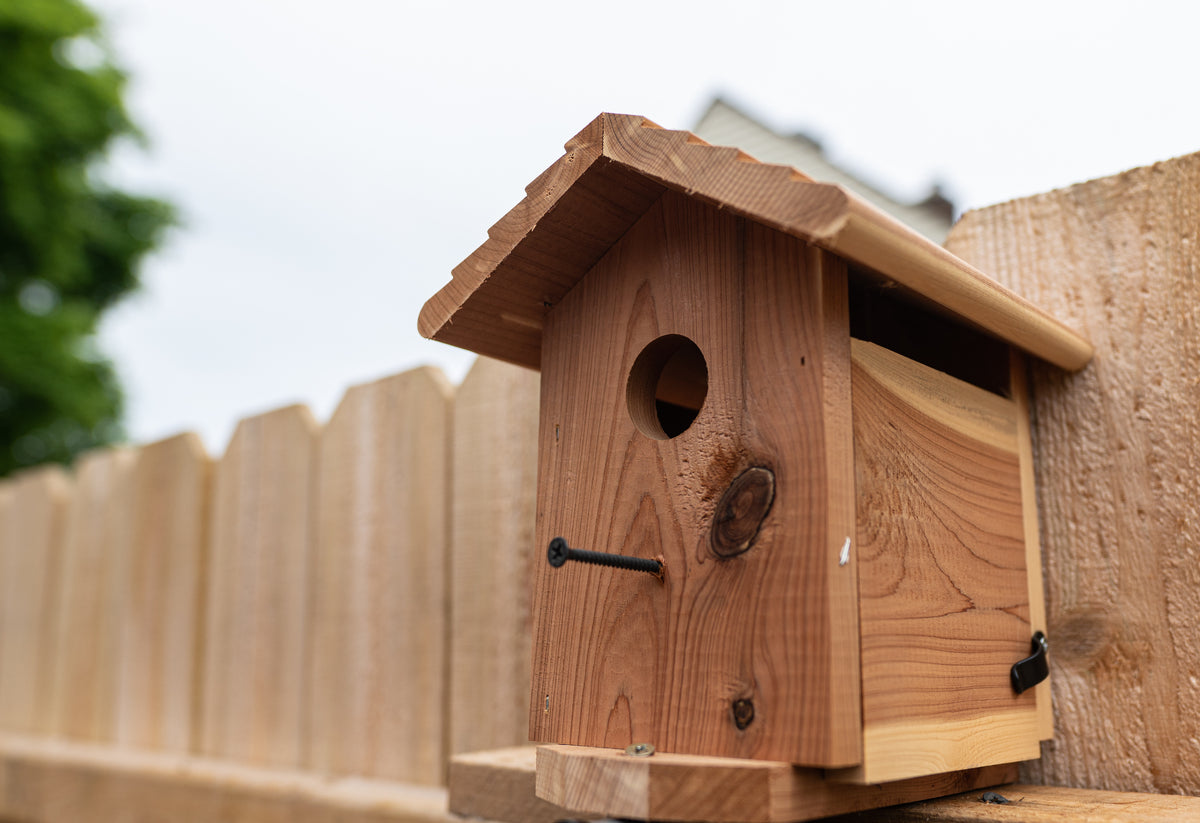 Build A Better Birdhouse