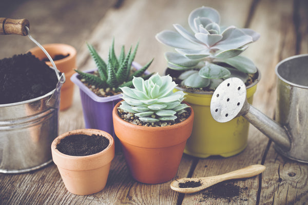 Fix A Cracked Flower Pot